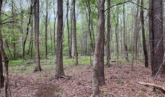 81 N Hwy, Calhoun Falls, SC 29628