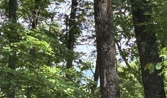 COLVIN SPRINGS ROAD 6, Ashville, AL 35953