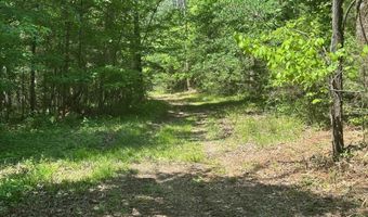 10515 Paw Paw Springs Rd, Arrington, TN 37014