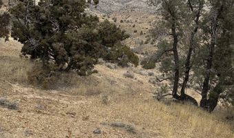 00432147 APN 004-321-47 Trwy, Dayton, NV 89403