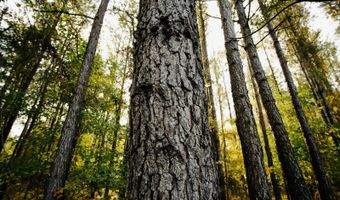 971 Somerset Rd SE, Bogue Chitto, MS 39629