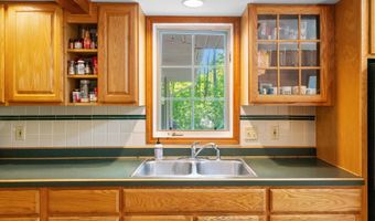 9707 Rogers Rd, Alanson, MI 49706