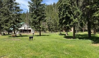 2368 Petty Creek Rd, Alberton, MT 59820