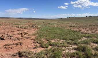 1342 County Road 5020, Concho, AZ 85924