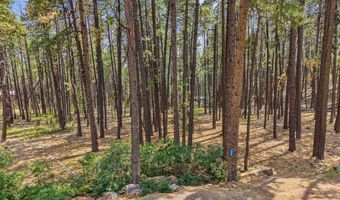 432 Blue Ridge Dr, Bayfield, CO 81122