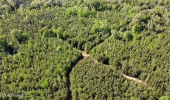 SW Auburn Drive, Bogue Chitto, MS 39629