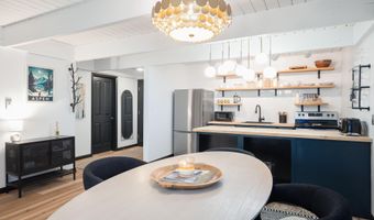 901 E Hyman Ave 4, Aspen, CO 81611