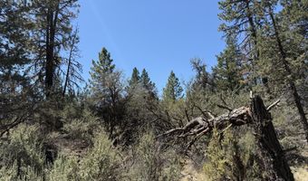 0 Jaguar Ln Lot 3, Bonanza, OR 97623