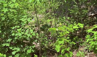 Jasper Street, Berlin, NH 03570