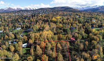 L9 & L10 Feodosia Drive, Anchorage, AK 99516
