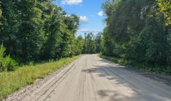 000 73rd Way, Bell, FL 32619