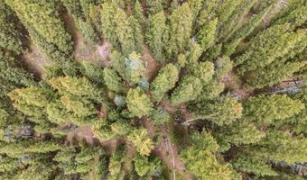 TBD FREDONIA GULCH RD, Breckenridge, CO 80424