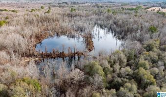 BRUSH CREEK DRIVE, Akron, AL 35441