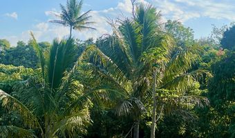 89-843 POHULAI Rd, Captain Cook, HI 96704
