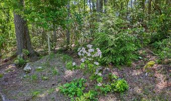 Tbd Big Bear Pen Road, Highlands, NC 28741