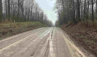 McPherson Road lot 11 & 12, Alden, MI 49612