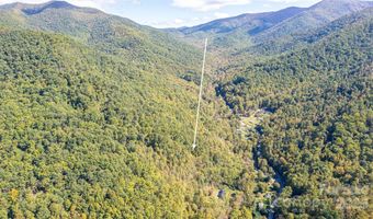 10 Dodd Rd, Barnardsville, NC 28709