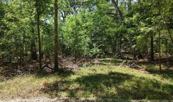 TBD 000 SW 86th Way, Bell, FL 32619