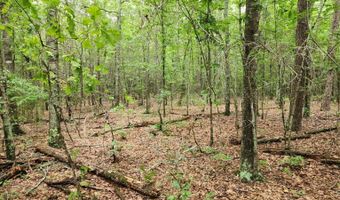 0 U.S Highway 341 S, Barnesville, GA 30204