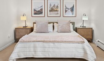 980 E Hyman Avenue 3, Aspen, CO 81611