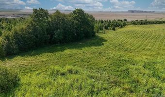 14 31 Acres Highway 463, Bay, AR 72411