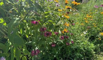 4615 WINDING CREEK Trl, Abrams, WI 54101