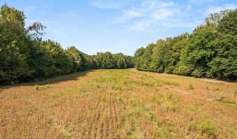 N OSBORNTOWN Rd, Arlington, TN 38002