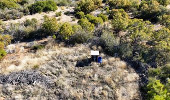 1 Chapman Rd, Anza, CA 92539