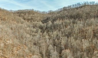 9999 Honeycutt Branch Turkey Crk, Barbourville, KY 40906