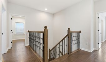 721 Vine Pond Ct, Apex, NC 27523