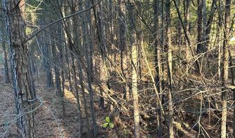 421041 E 1945 Ln, Antlers, OK 74523