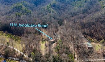 1316 Junaluska Rd, Andrews, NC 28901