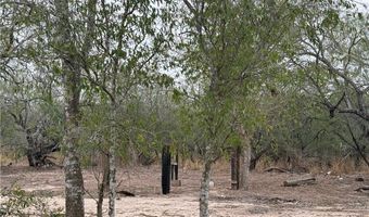 450 County Road 480, Alice, TX 78332