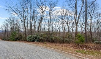 W Pheasant Chase lot 23, Ararat, VA 24053