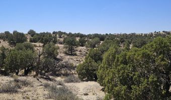 NM 574, Aztec, NM 87410