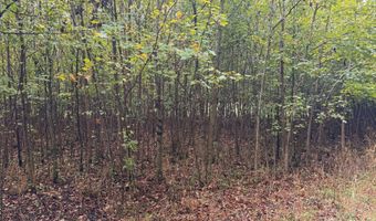 BLACK SWAMP ROAD, Felton, DE 19943