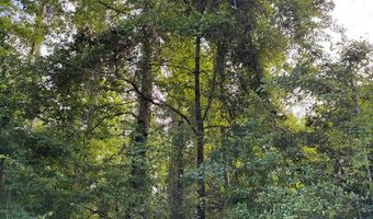 Lot 252 Douglas Drive, Abbeville, AL 36310