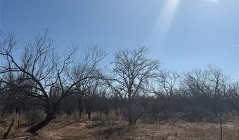 Tbd CR 260, Anson, TX 79501