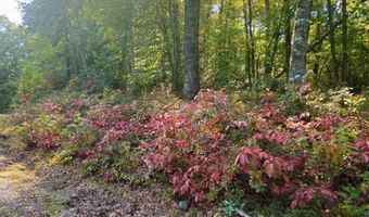 Fox Hollow Dr lot 17, Bastian, VA 24314