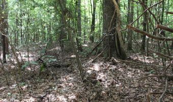 00 Pinola Braxton Rd, Braxton, MS 39044