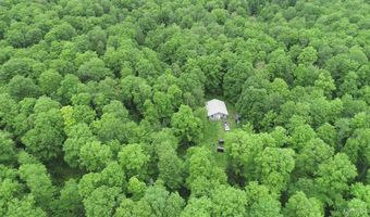 40 Acres The Grade, Amasa, MI 49920