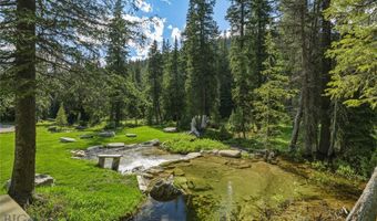 383 Red Lion Rd, Anaconda, MT 59711