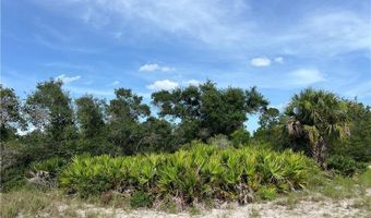 4183 E 27th St, Alva, FL 33920