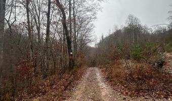 Brair Fork Road, Bean Station, TN 37708