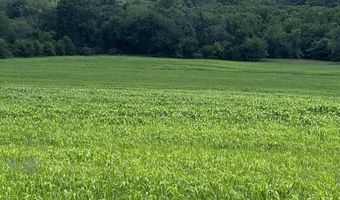 000 175th St, Altamont, MO 64620