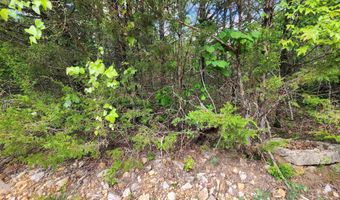 Strawberry Valley Road, Ash Flat, AR 72513