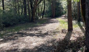 Agness-Illahe Rd, Agness, OR 97406