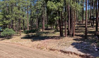 79 Spruce Way, Bayfield, CO 81122