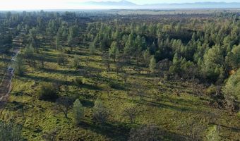 Buffalo Drive, Anderson, CA 96007