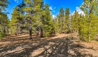 265 Placer Dr Lot 10, Alma, CO 80420